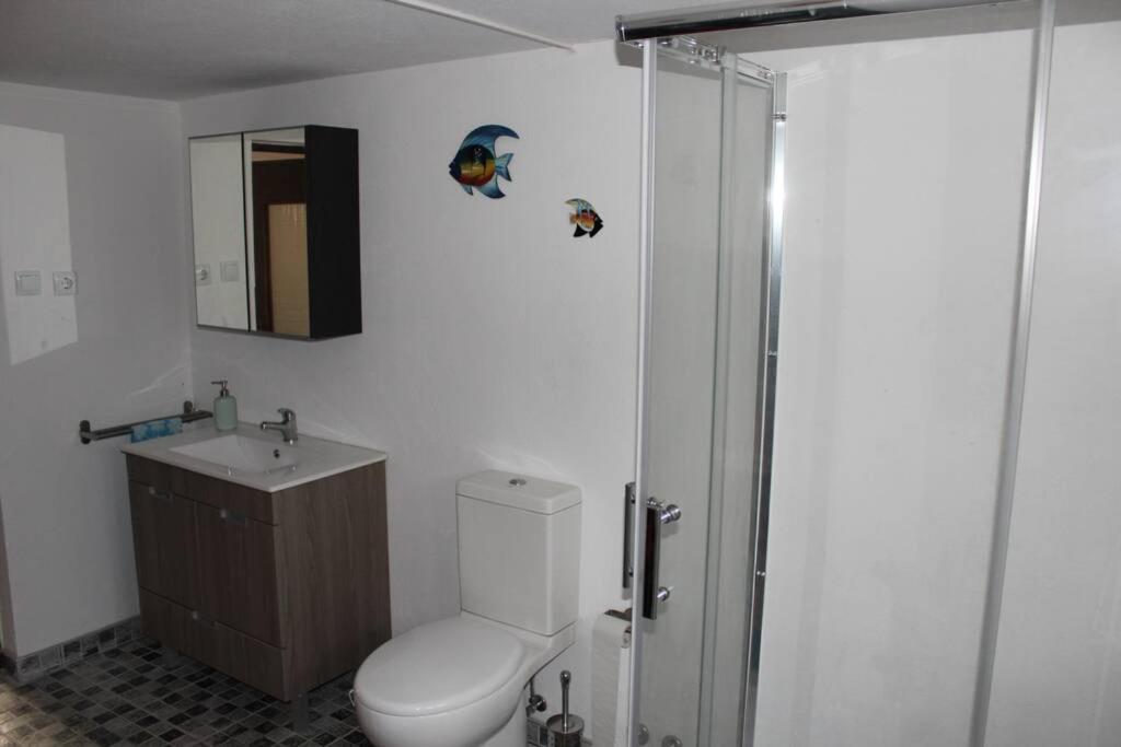 הוילה House With Pool And Garden In Esmoriz Near Porto מראה חיצוני תמונה