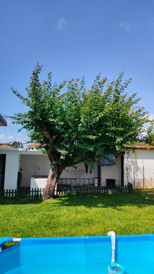 הוילה House With Pool And Garden In Esmoriz Near Porto מראה חיצוני תמונה